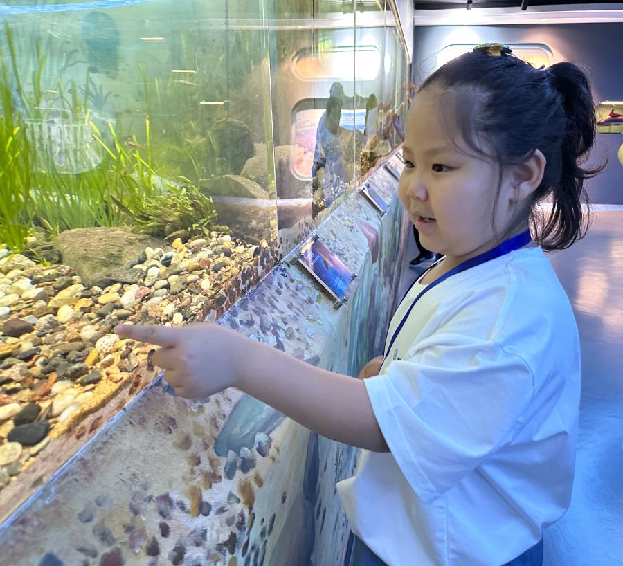 “這條小魚(yú)真可愛(ài)！” 黃欣拍攝